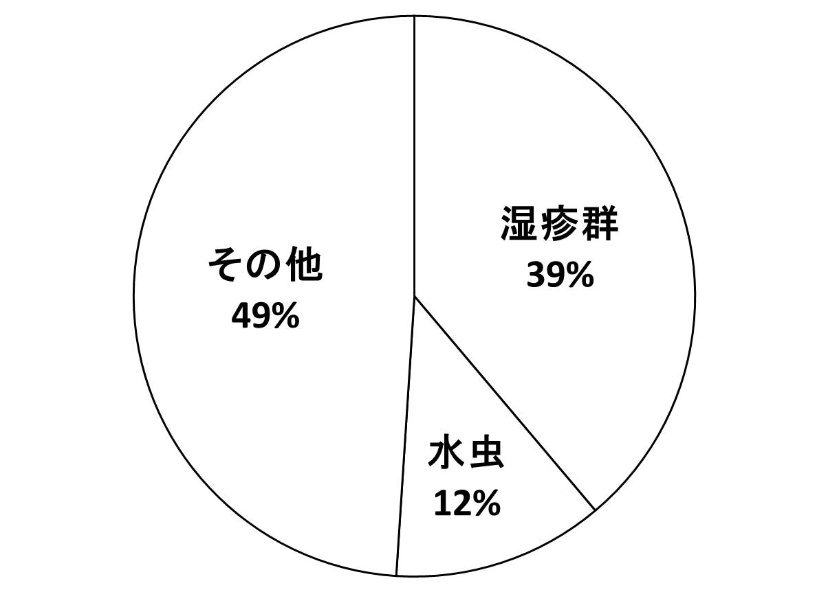 皮膚疾患の種類の図